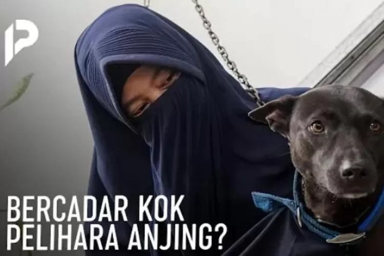 Hukum Memelihara Anjing Menurut Islam: Ternyata Diperbolehkan Lho Asal ...