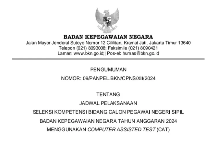 Jadwal Pelaksanaan SKB CPNS BKN 2024: Daftar Peserta, Lokasi, Dan Waktu ...