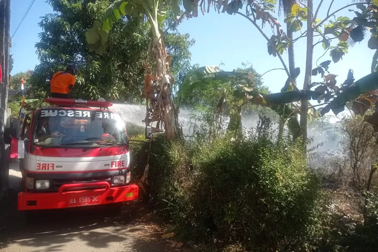 Rawan Kebakaran Lahan Dan Hutan, Damkar Antisipasi Saat Musim Kemarau ...