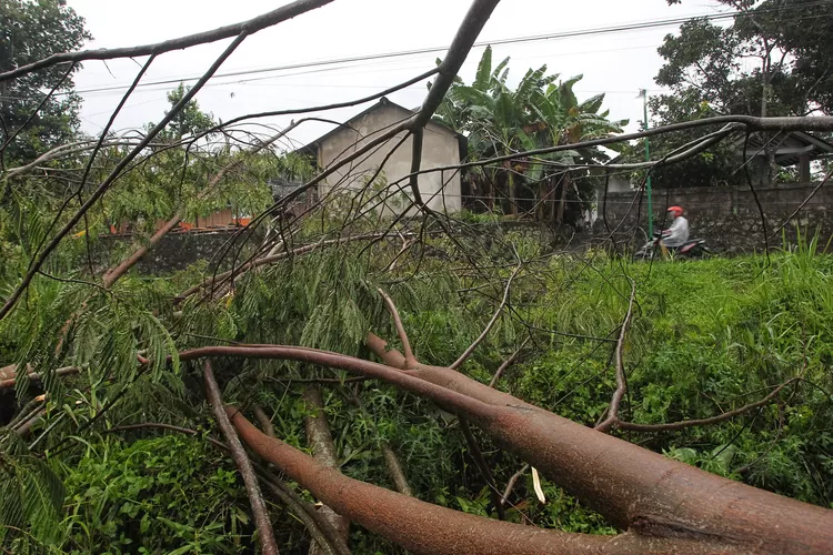 Awas Ada Hujan Disertai Angin Kencang Lagi Di Sejumlah Wilayah Jogja Hari Ini Berikut