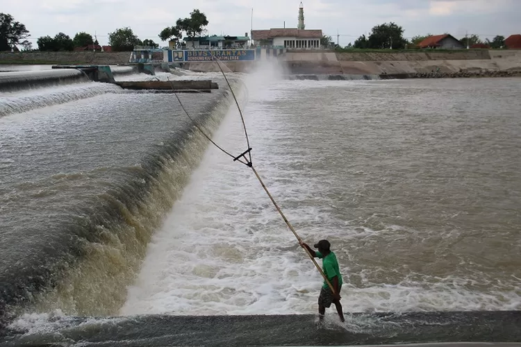 Debit Air Tinggi Warga Nekat Menjaring Ikan Di Sungai Brantas Radar