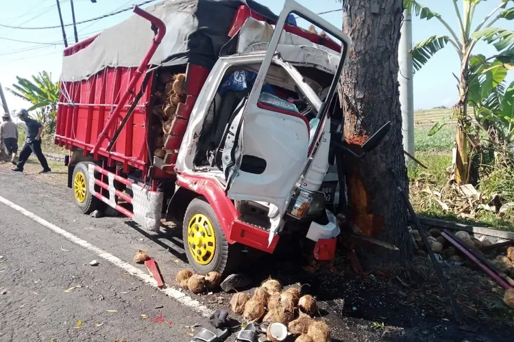 Kecelakaan Di Bali: Truk Bermuatan Kelapa Hantam Pohon Perindang Di ...