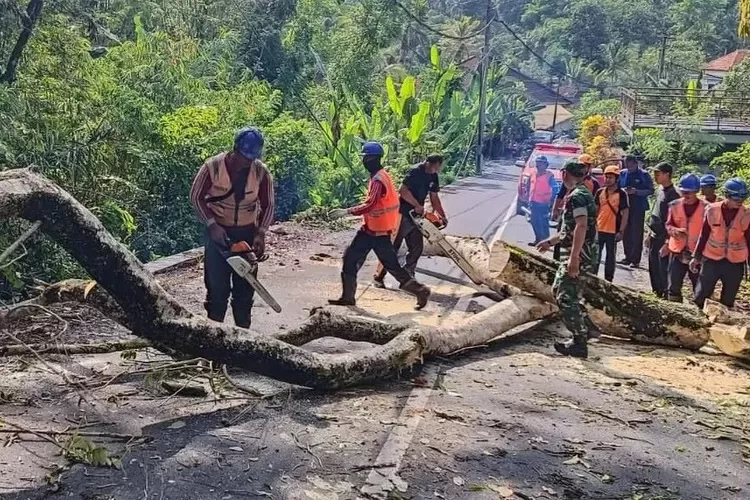 Mjo Masuk Ke Wilayah Indonesia Bmkg Perkirakan Cuaca Denpasar Seperti