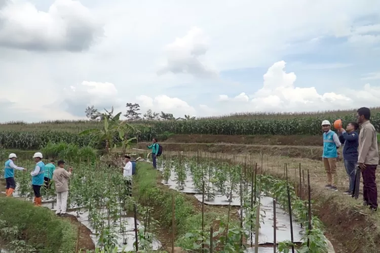 Hadirkan Inovasi Sosial Dan Keberlanjutan Lingkungan, PLN UIK Tanjung ...