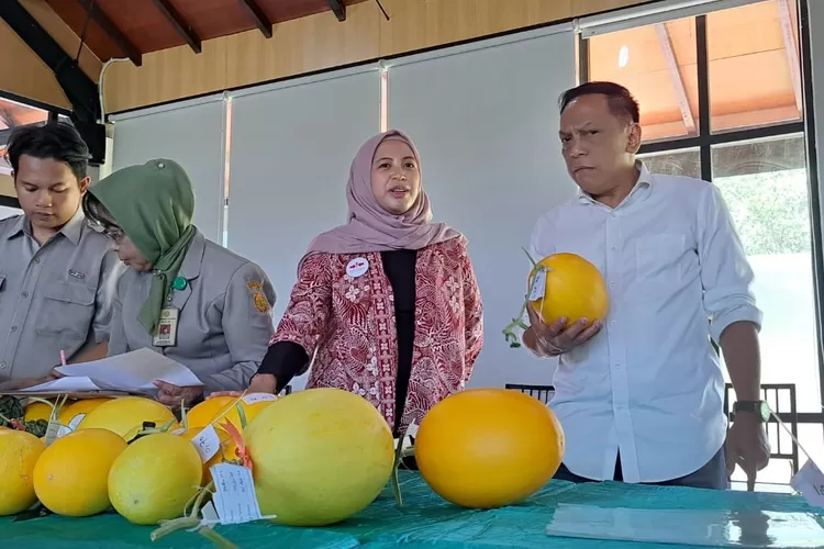 Dongkrak Ekonomi Dan Ketahanan Pangan, Urban Farming Perlu Dimasifkan ...