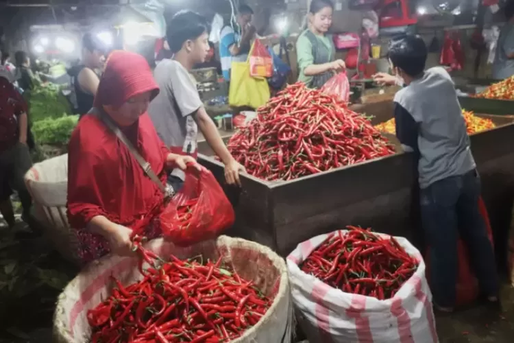 Harga Cabai Rp Ribu Per Kg Tapi Petani Ngaku Tak Untung Kok Bisa