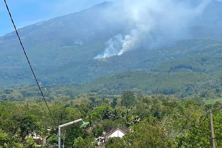 Kawasan Hutan Lindung Lereng Lawu Terbakar, Proses Pemadaman Terkendala ...