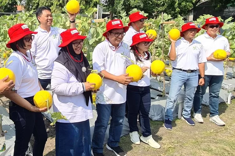 HUT Ke-51, Petrokimia Gresik Perkenalkan Peta Digital Kesuburan Tanah ...