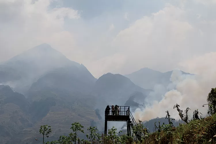 Kebakaran Hutan Di Gunung Merbabu Terus Meluas: Pipa Terbakar, Warga ...