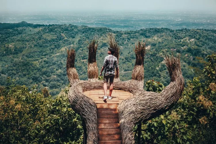 Wisata 5 Hutan Pinus Di Jogja Panorama Yang Indah Hingga Spot Instagramable Ada Disini 2832