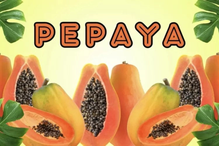 Ternyata Ini Rahasianya Mengapa Pepaya Adalah Buah Super Kandungan Vitamin Dan Manfaat