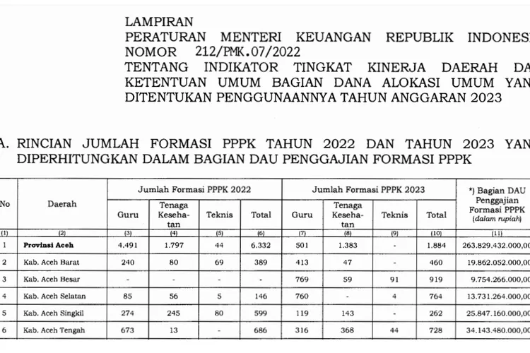 Rincian Formasi PPPK Se Aceh 2023 Dan Besaran DAU Untuk Gaji PPPK ...