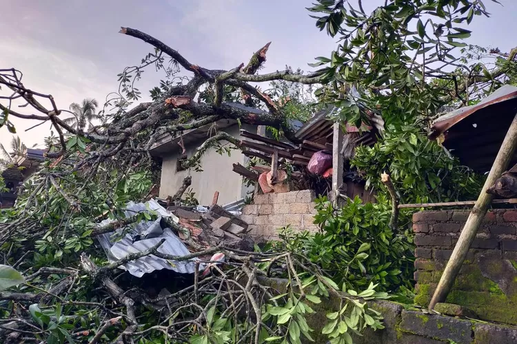 Tanah Longsor Dan Pohon Tumbang Landa Pupuan-Selbar - Pos Bali