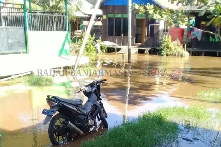 Banjir Rob Rendam Desa Pantai Harapan - Prokal