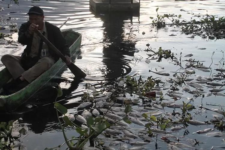 Duh, Batur Masuk Daftar Danau Kritis Di Indonesia - Radar Bali