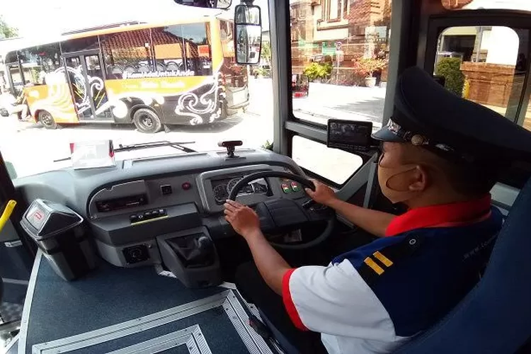 Dilengkapi Piranti Canggih, Ini Daftar Rute Bus Trans Metro Dewata ...