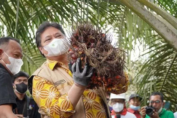 Survei: Golkar Dan Airlangga Unggul Di Pemilu 2024 - Radar Bali