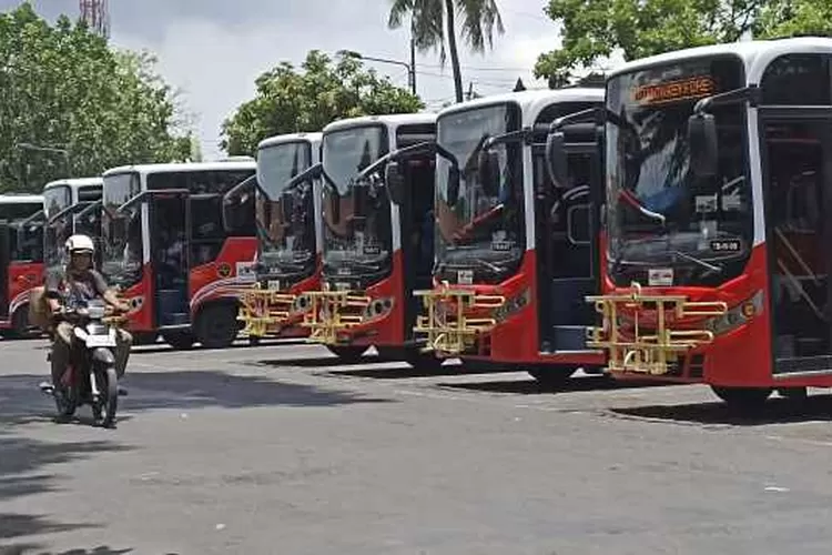 Dua Tahun Trans Metro Dewata Beroperasi Masih Disusui Pusat Penumpang Koridor 1b Terpadat 3942