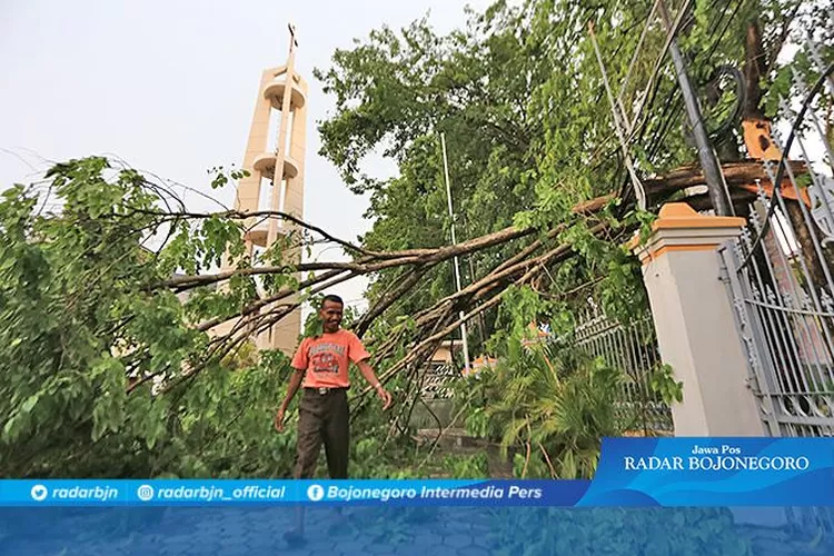 Angin Kencang Robohkan Pohon Dan Tiang Listrik Radar Bojonegoro