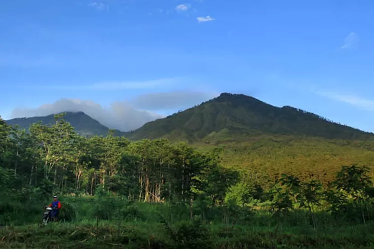 Pendakian Jalur Arjuno-Welirang Urung Dibuka - Radar Bromo