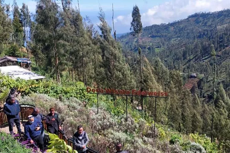 Taman Edelweiss Bromo, Wisata Edukasi-Konservasi Yang Kian Banyak ...