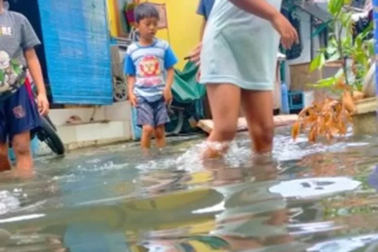 Banjir Rob Meluas Dua Desa Di Kecamatan Gresik Terendam Radar Gresik