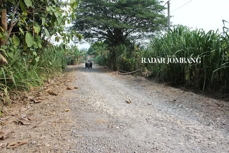 Mirip Wisata Jeglongan Sewu, Jalan Tembus Di Jombang Rusak Berat ...