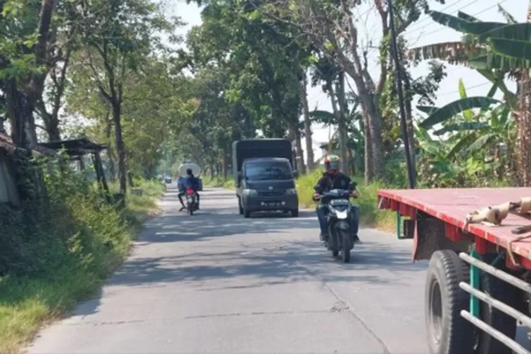 Mulai Dilelang Kementrian PUPR Sediakan Rp 65 Miliar Untuk Ruas Kabuh Tapen Radar Jombang