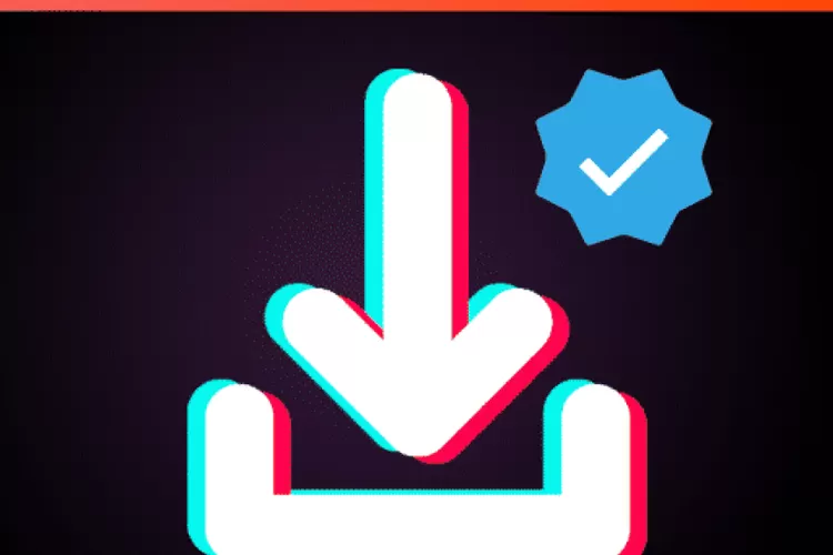SnapTik: Download Video TikTok Tanpa Watermark dan Tanpa Aplikasi, Mudah,  Cepat, dan Aman - Kurusetra