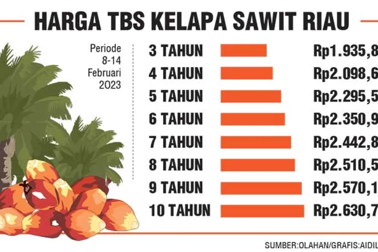 Harga TBS Sawit Riau Naik Jadi Rp2.630 Per Kg - Riau Pos