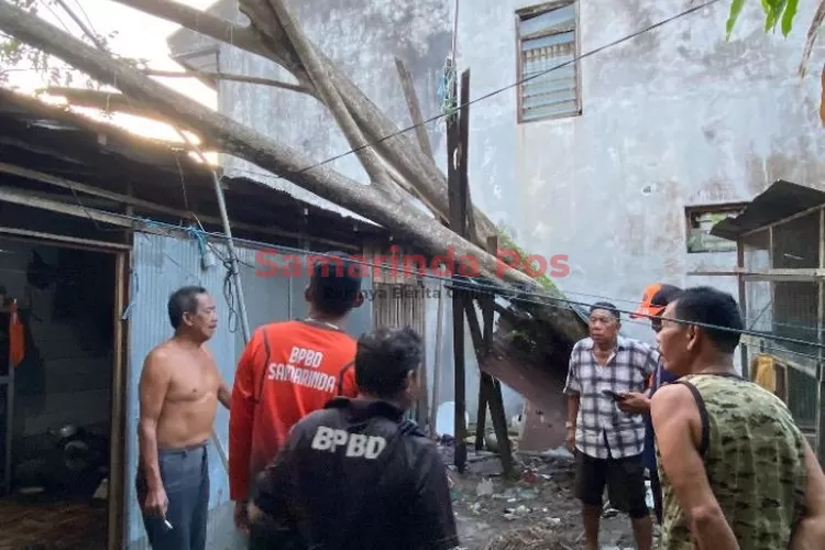 Ambruk, Pohon Timpa Atap Rumah - Sapos