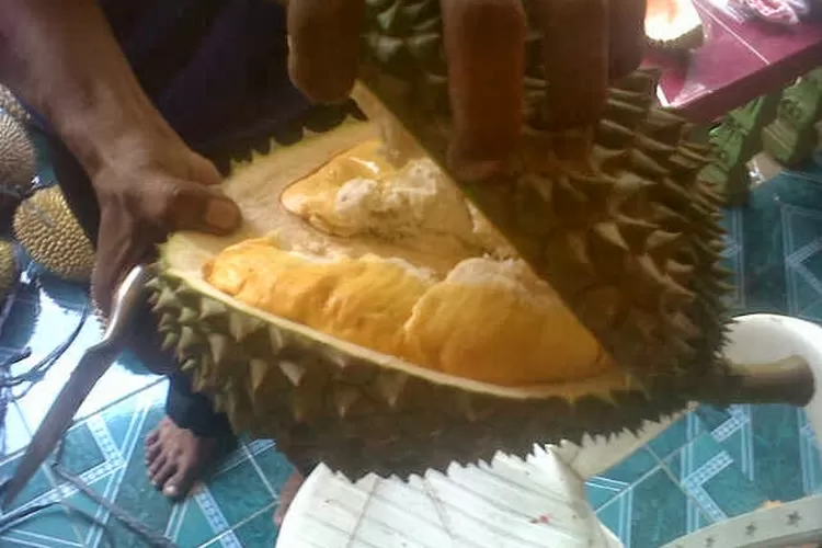 Ini 7 Manfaat Kesehatan Buah Durian Untuk Tubuh - Warta Nasional