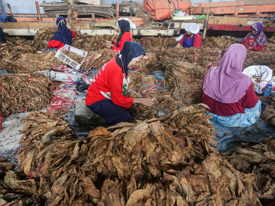 Tarif Cukai Tembakau Untuk Rokok Naik 10 Persen Per 1 Januari 2024