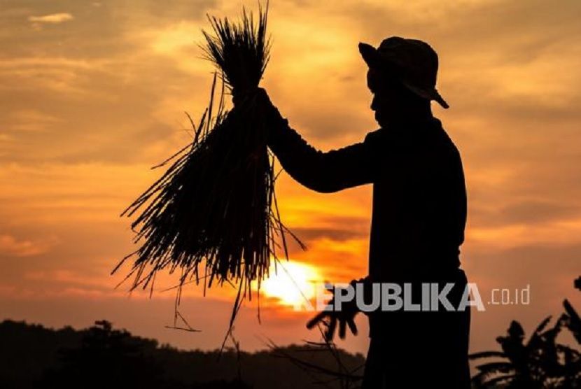 Wisata dadakan di Grobogan. Ratusan warga Grobogan menjadikan pinggir sawah menjadi tempat wisata dadakan.