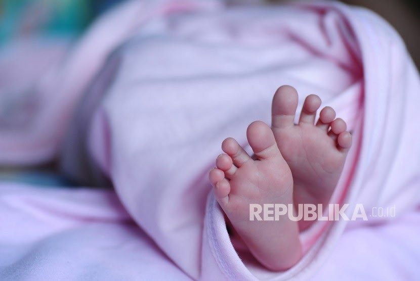 Bayi baru lahir. Pemkab Batang meluncurkan aplikasi Salsabila Cantik untuk membantu bayi yang baru lahir dari keluarga miskin untuk mendapatkan NIK dan akses BPJS gratis.