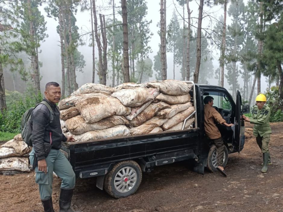 Atasi Kerusakan Hutan Lindung Di Gunung Slamet, Perhutani Gelar ...