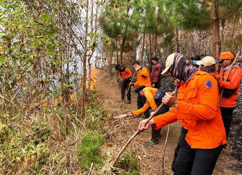 BPBD Jatim Siapkan Water Bombing Untuk Percepatan Penanganan Karhutla ...