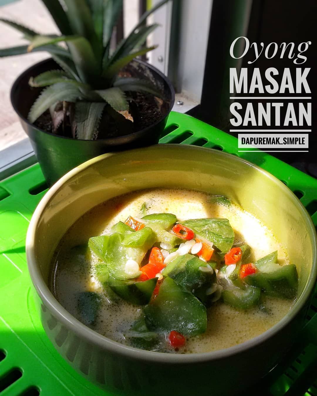 6 Resep Sayur Oyong Yang Simple Dari Tumis Sampai Kuah Indozone Food