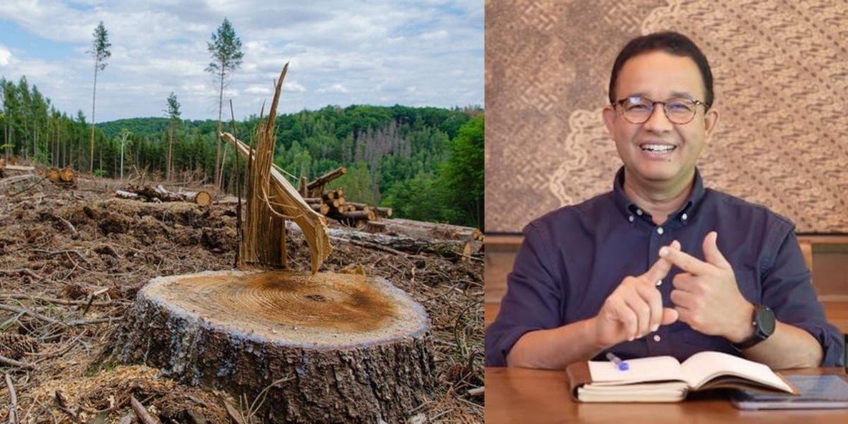 Siapa Penjahat Sebenarnya di Balik Kerusakan Hutan? Anies Baswedan tuturkan 97% Deforestasi Legal
