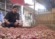 Mengapa Harga Bawang Merah Melonjak Naik? Penyebab dan Dampaknya Bagi Konsumen 