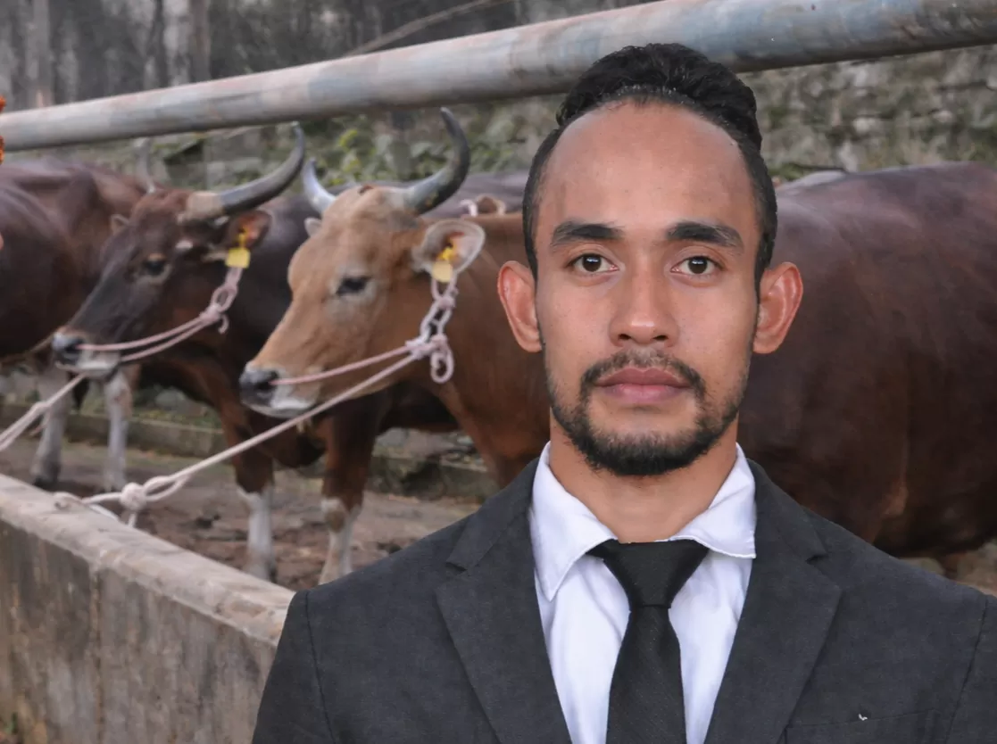Sapi Timor Wakil Bupati TTS Diduga Ada Dibalik ‘Mafia’ Distribusi Kuota Sapi ...