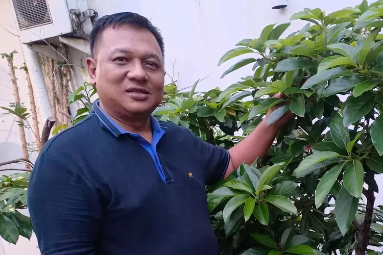 Ketua DPC Partai Gerindra Kota Depok, Pradi Supriatna, memperlihatkan pohon alpukat miki di pekarangan rumahnya, Senin (4/12).  (Radar Depok)