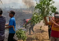 Warga Curio Berjibaku Padamkan Kebakaran Lahan dengan Alat Seadanya