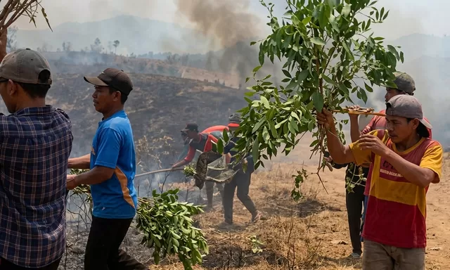 Warga Curio Berjibaku Padamkan Kebakaran Lahan dengan Alat Seadanya