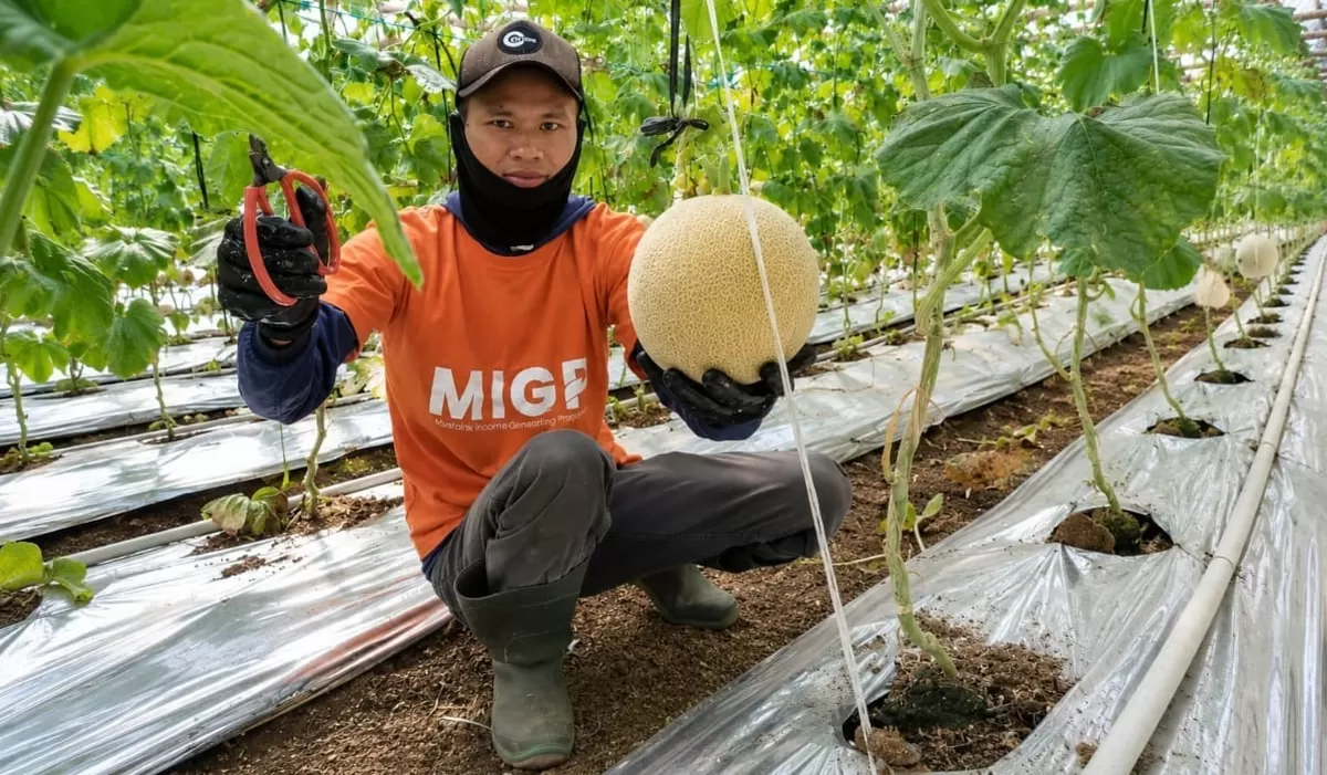Petani binaan YBM BRILiaN SBO Malang
