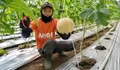 Mutiara Pagi: Kemenangan Terbesar (Bagian 2286)