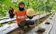 Mutiara Pagi: Kemenangan Terbesar (Bagian 2286)