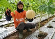 Mutiara Pagi: Kemenangan Terbesar (Bagian 2286)