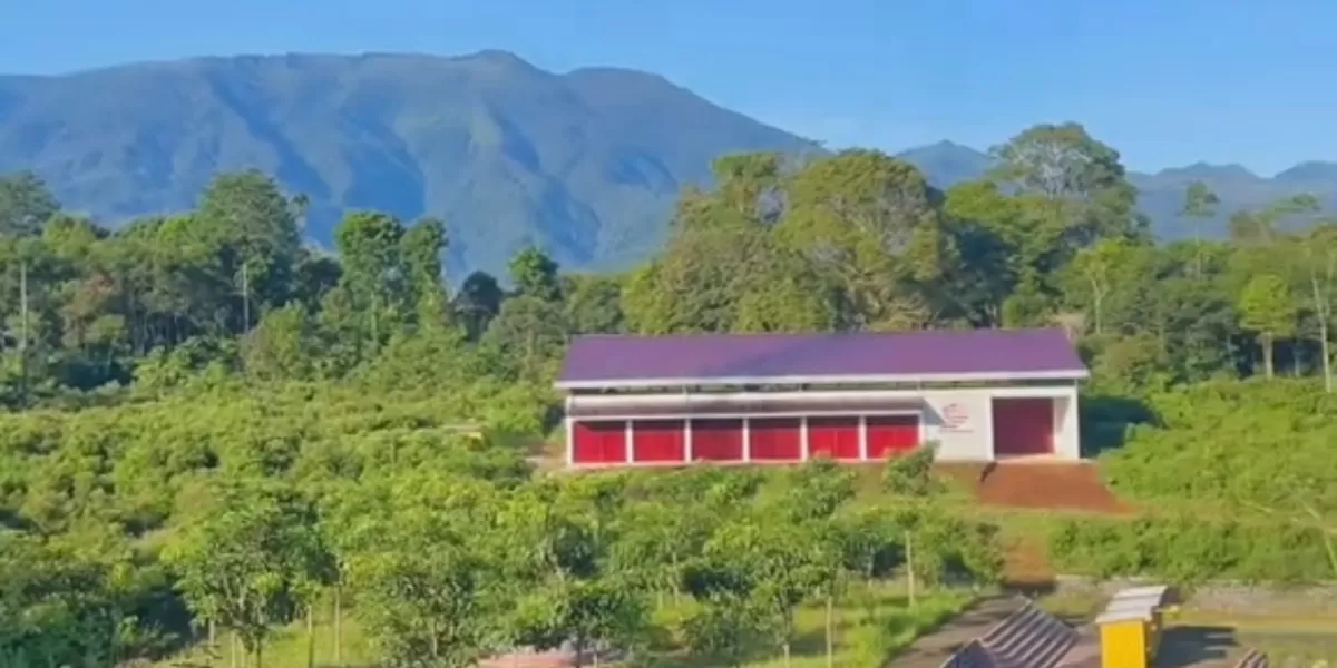 Potret KDMP berlatar belakang gunung Prau viral  (Istimewa )