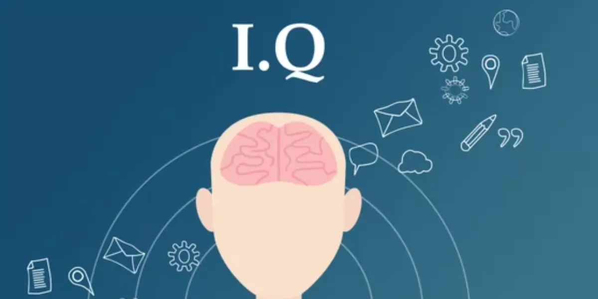 Ilustrasi iq.  (nsd.co.id)